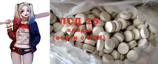 PSILOCYBIN Армянск