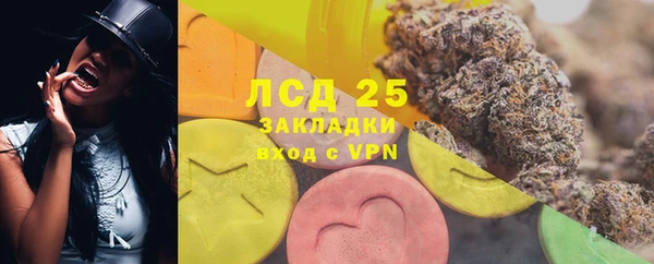 PSILOCYBIN Армянск
