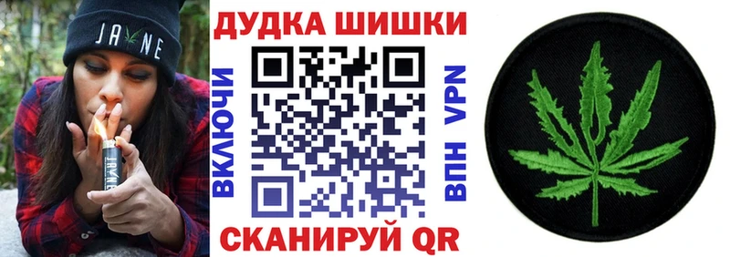 Бошки Шишки ГИДРОПОН  Городище 